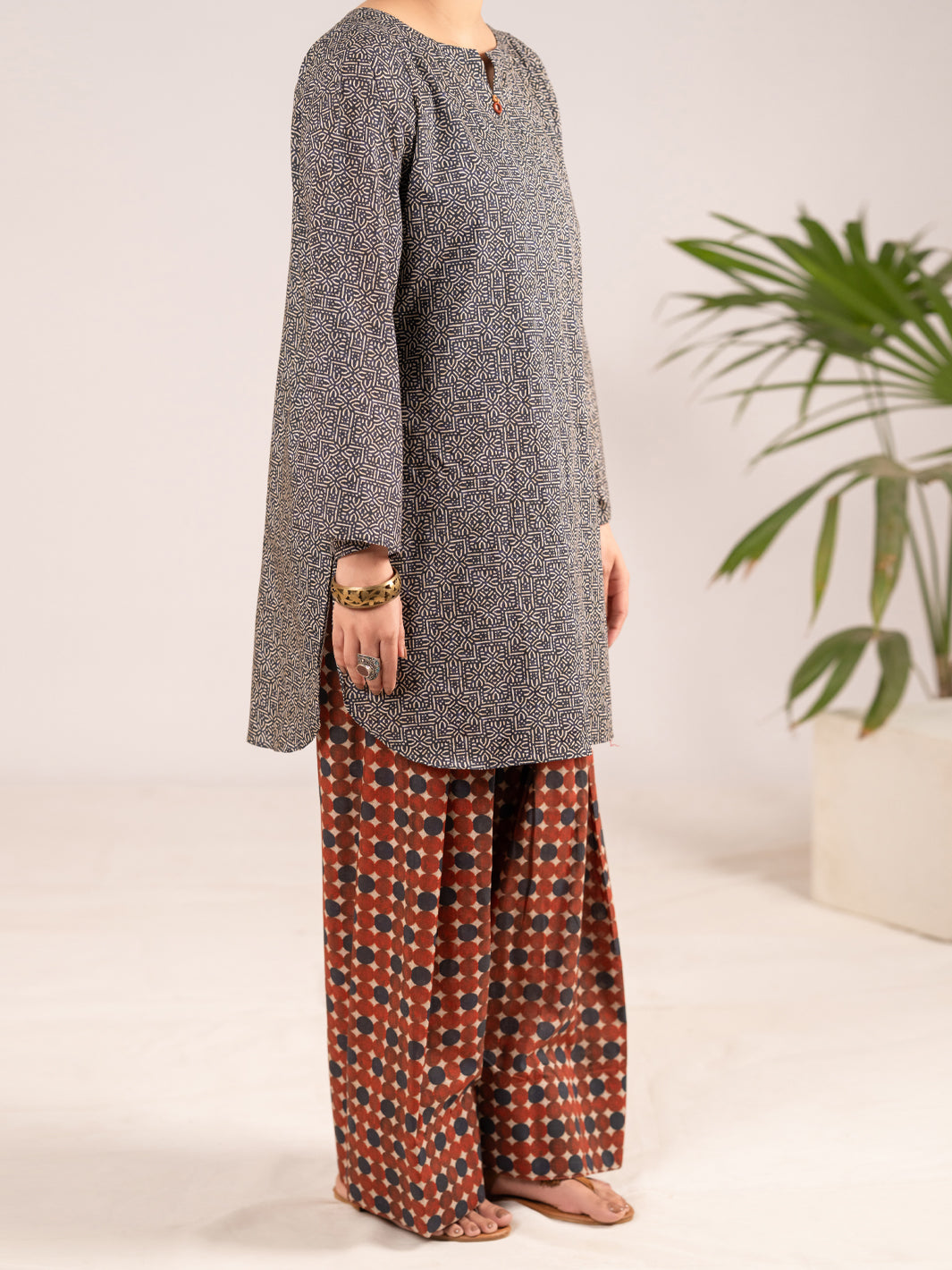 Multicolor Lawn Co-Ord Set - ALP-2PS-SLKS-2555