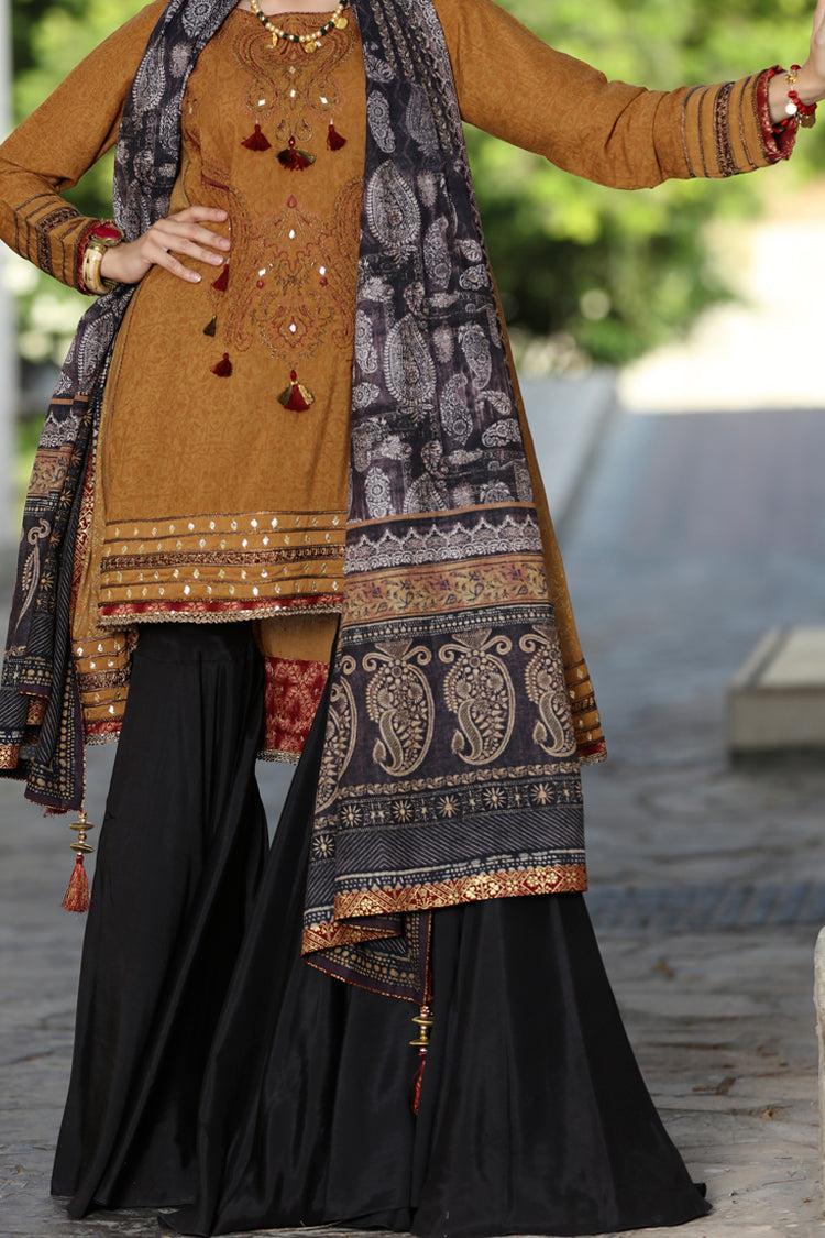 Brown Karandi 2 Piece Unstitched - ALP-487