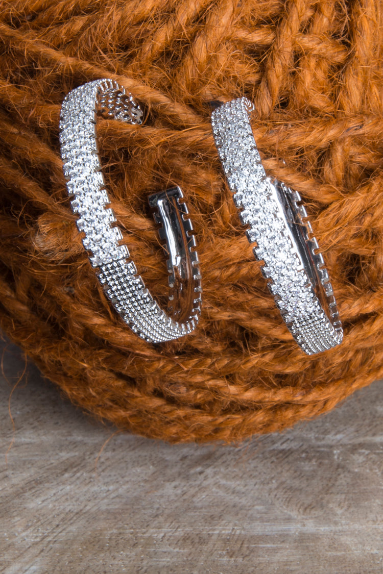 Earrings - ER-095-18