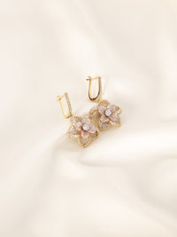 Earrings - ER-083-18