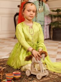 Parrot Green Shimmer Net 3Pc Stitched - ALGR-3PS-LS-007