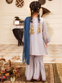 Grey Poly Silk Formal 3Pc Stitched - ALGR-3PS-LS-025