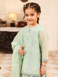 Pistachio Green Square Organza Formal 3Pc Stitched - ALGR-3PS-LS-030