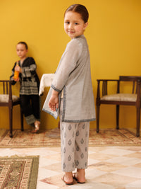 Grey Paper Cotton 2 Piece Stitched - ALGR-2PS-LKS-1016