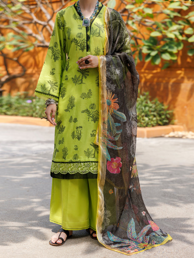 Lime Green Jacquard 3 Piece Stitched - ALP-3PS-2010