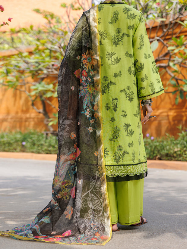 Lime Green Jacquard 3 Piece Stitched - ALP-3PS-2010