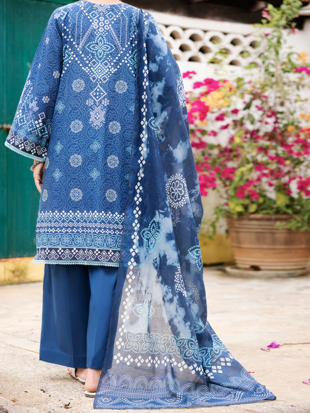 Blue Lawn 2 Piece Unstitched - ALP-2PS-2104