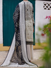 Black & White Lawn 2 Piece Unstitched - ALP-2PS-2105