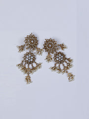 Earrings - AL-ER-1071