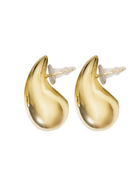 Earrings - AL-ER-1168