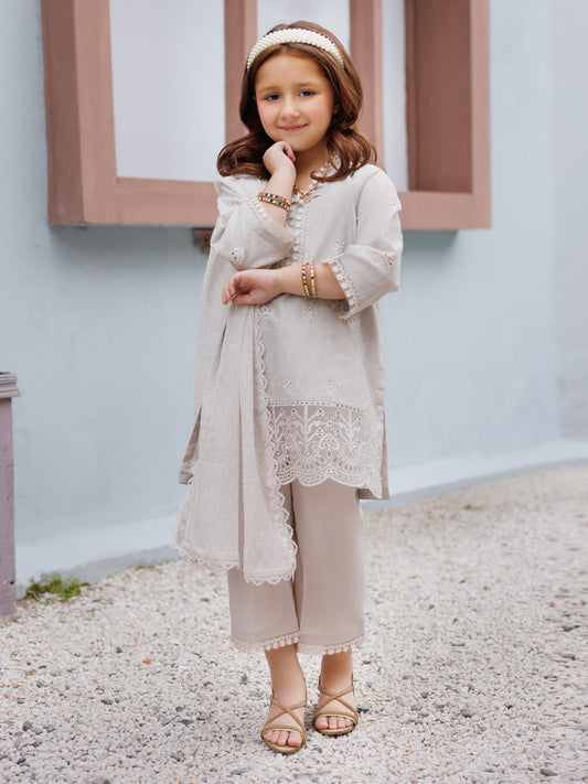 Light Grey Lawn Formal 3Pc Stitched - ALGR-3PS-LS-035
