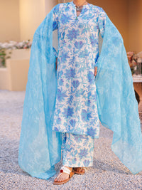 Ice Blue Lawn 3Pc Stitched - ALP-3PS-2315