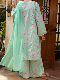 Light Green Lawn Stitched 3Pc- ALP-3PS-2579