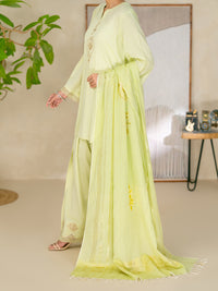 Light Green Golden Zari Dobby Stitched 3Pc - ALP-3PS-2618