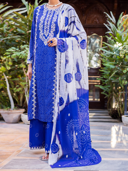 Blue Cotton Stitched 3PC - ALP-3PS-2676