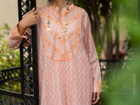 Peach Lawn Co-Ord Set - ALP-2PS-SLKS-2776