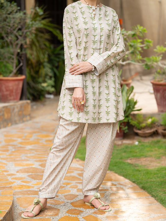 Pistachio Green Lawn Co-Ord Set - ALP-2PS-SLKS-2780