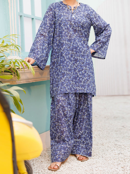 Blue Lawn Co-Ord Set - ALP-2PS-SLKS-2511