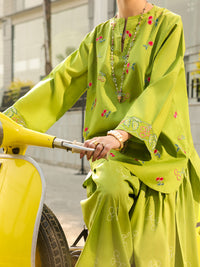 Green Lawn 2Pc Stitched - ALP-2PS-LKS-2540