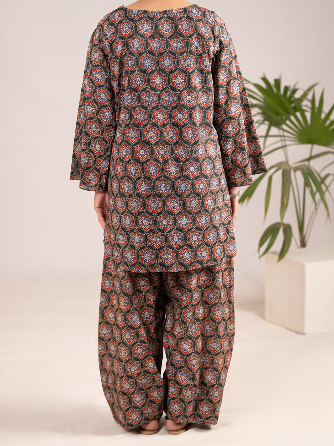 Multicolor Lawn Co-Ord Set - ALP-2PS-SLKS-2553