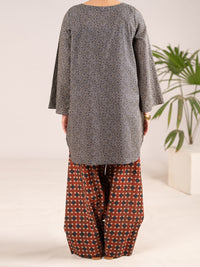 Multicolor Lawn Co-Ord Set - ALP-2PS-SLKS-2555