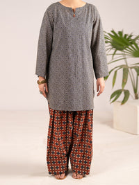 Multicolor Lawn Co-Ord Set - ALP-2PS-SLKS-2555