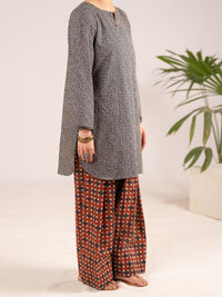 Multicolor Lawn Co-Ord Set - ALP-2PS-SLKS-2555