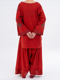 Rust  Karandi 2Pc Stitched - AWP-2PS-LKS-829