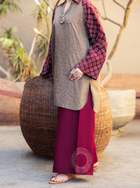 Maroon Lawn 2Pc Stitched - ALP-2PS-LKS-2843