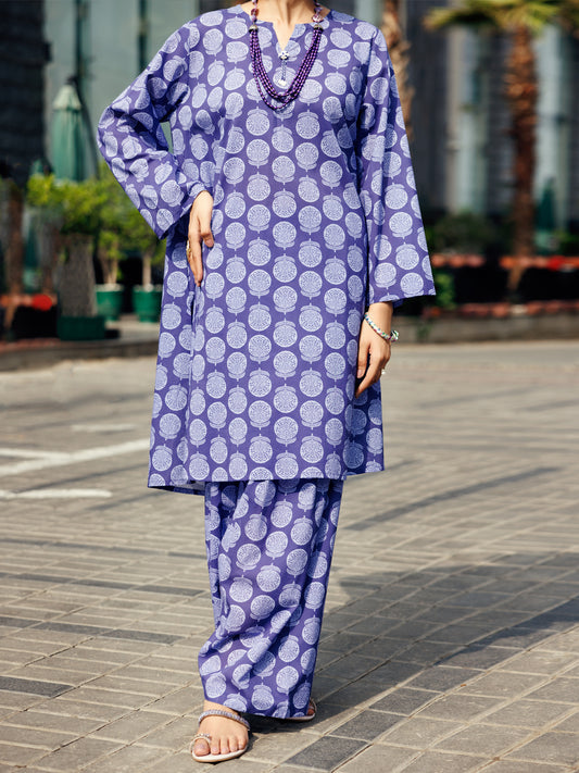 Blue Lawn Co-ord Set - ALP-2PS-SLKS-2249
