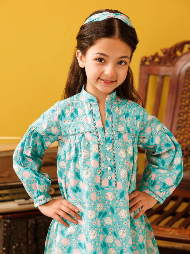 Ferozi Lawn 2 Piece Stitched - ALGR-2PS-LKS-1029