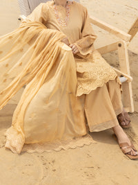 Khaki Schiffli Lawn 3Pc Stitched - ALP-3PS-2183
