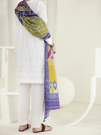 White 3Pc Stitched - ALP-3PS-1235