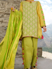 Jacquard 3Pc Stitched - AWP-216
