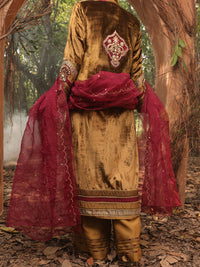 Brown Velvet 3 Piece Formal Stitched - AL-3PS-LS-388