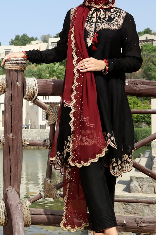 Black Viscose Net 3 Piece Stitched - ALP-3PS-566