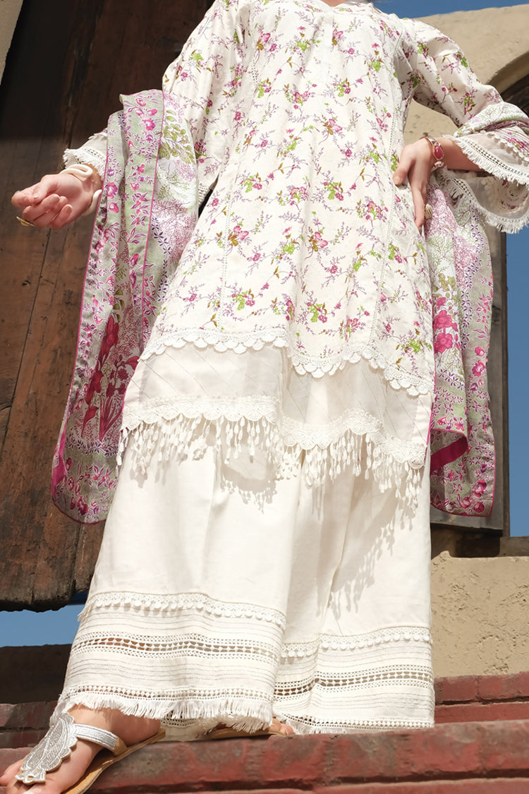 Natural Lawn 3 Piece Unstitched - ALP-724