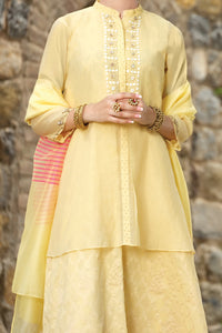 Lime Cotton Net 3Pc Stitched - ALP-733