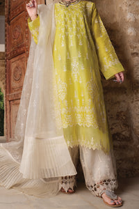 Lime Raw Silk 3 Piece Stitched - ALP-742