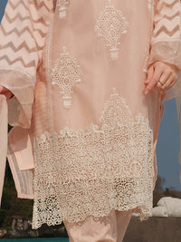Pink Khaddi Net 3 Piece Stitched - ALP-3PS-833