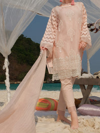 Pink Khaddi Net 3 Piece Stitched - ALP-3PS-833