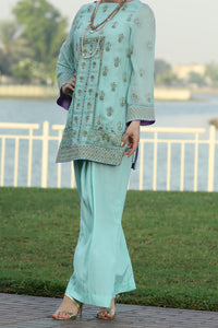 Ferozi Cotton 2Pc Formal Stitched - AL-2PS-LS-220