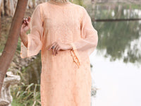 Peach Khaddi Net Tunic - AL-LK-781