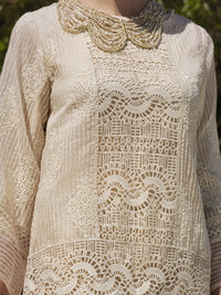 Off White Khaddi Net 3 Piece Unstitched - ALP-3PS-1270