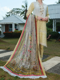 Lime Schiffli Lawn 3Pc Stitched - ALP-3PS-829