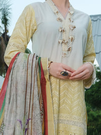 Lime Schiffli Lawn 3Pc Stitched - ALP-3PS-829