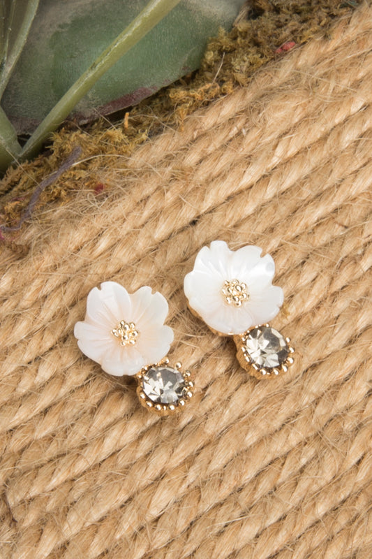 Earrings - ER-054-18
