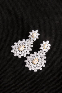 Earrings - ER-122-18