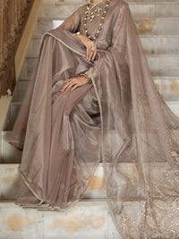 Beige Shimmer Net 2 Piece Formal Unstitched - AL-2PS-LS-UN-355