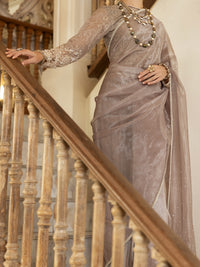 Beige Shimmer Net 2 Piece Formal Unstitched - AL-2PS-LS-UN-355